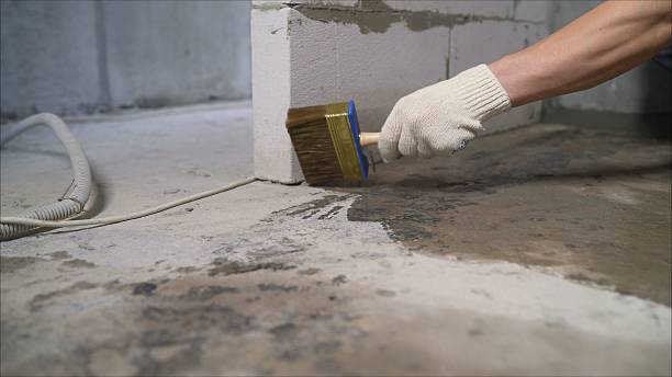 24/7 Emergency Crawl Space Encapsulation experts in Newport, WA